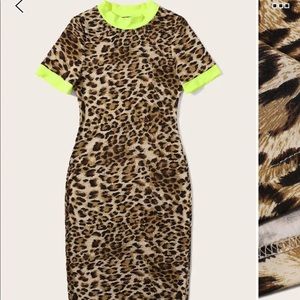 Plus Leopard & Neon Ringer Pencil Dress